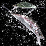 HERCULES Minnow Baits 5.5cm 5.5g Fishing Lure Box of 5PCS