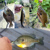 HERCULES 5 Pz/scatola Mini Crankbaits Set Esche da Pesca Esche Rigide Swimbaits Barca Oceano Topwater Esche per Trota Spigola Persico Esche da Pesca