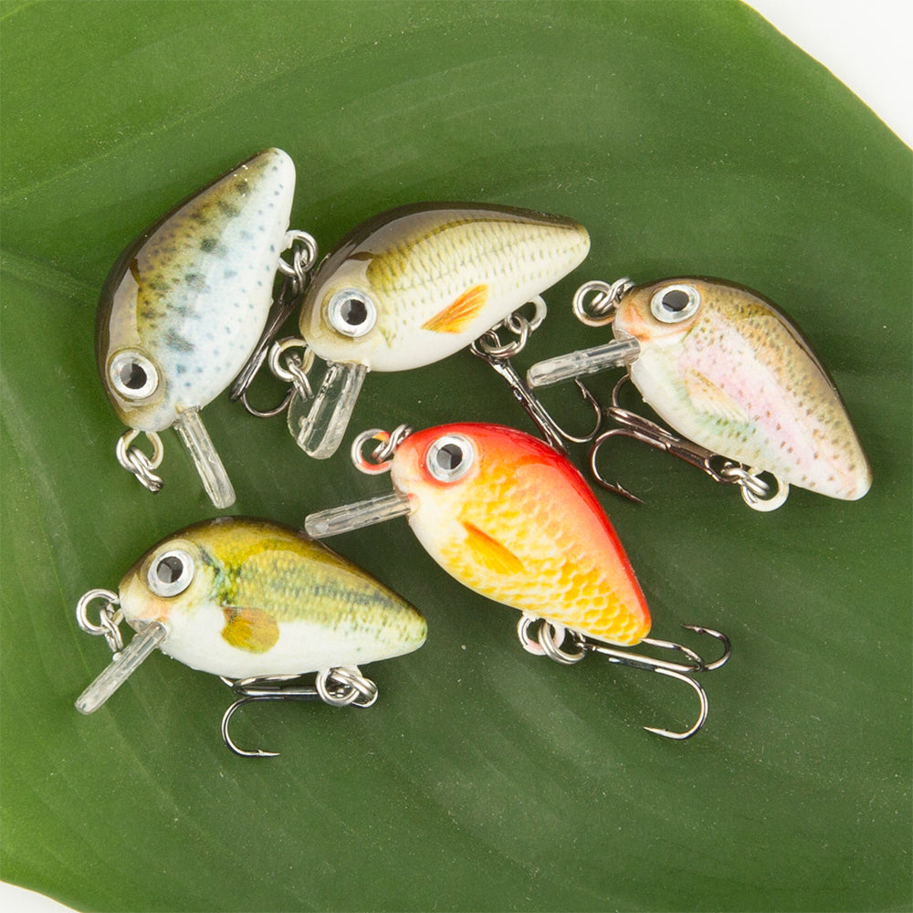 HERCULES 5 Pz/scatola Mini Crankbaits Set Esche da Pesca Esche Rigide Swimbaits Barca Oceano Topwater Esche per Trota Spigola Persico Esche da Pesca