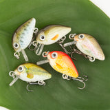 HERCULES 5 Pz/scatola Mini Crankbaits Set Esche da Pesca Esche Rigide Swimbaits Barca Oceano Topwater Esche per Trota Spigola Persico Esche da Pesca