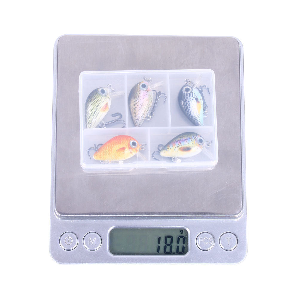 HERCULES 5 Pz/scatola Mini Crankbaits Set Esche da Pesca Esche Rigide Swimbaits Barca Oceano Topwater Esche per Trota Spigola Persico Esche da Pesca