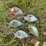 HERCULES 2.36" Crankbait Shallow Crank Lure Fishing Lures