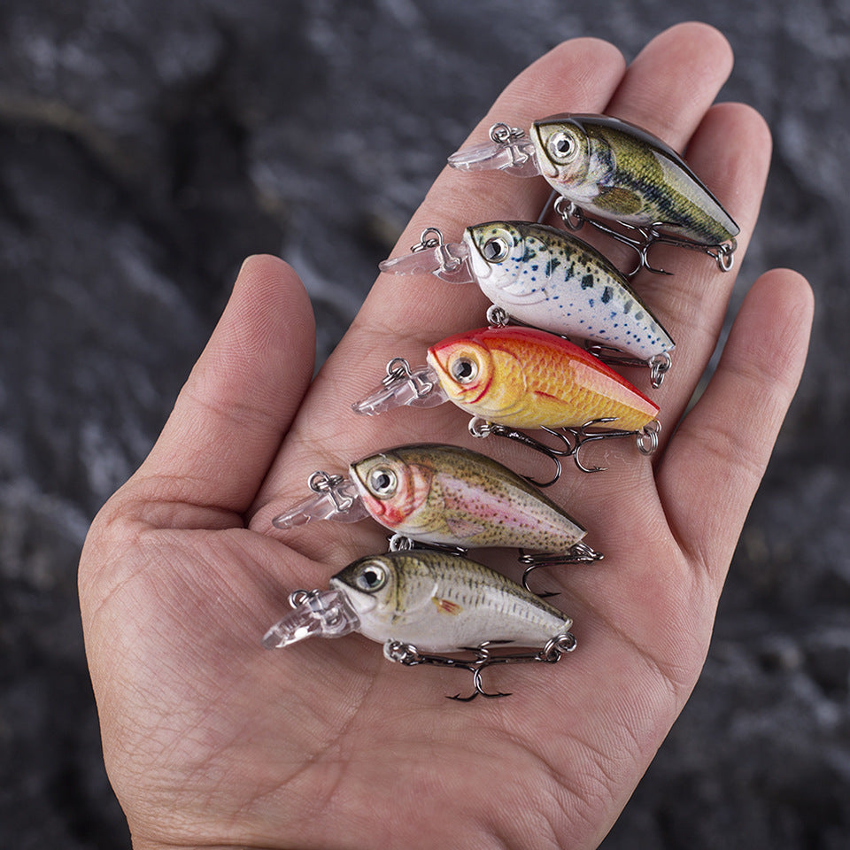 HERCULES Mini Crank Baits 4,5 cm 3,5 g 5 pezzi con scatola in PP