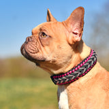 HERCULES 550 Paracord Survival Rope Black Type III Parachute Cord for Camping