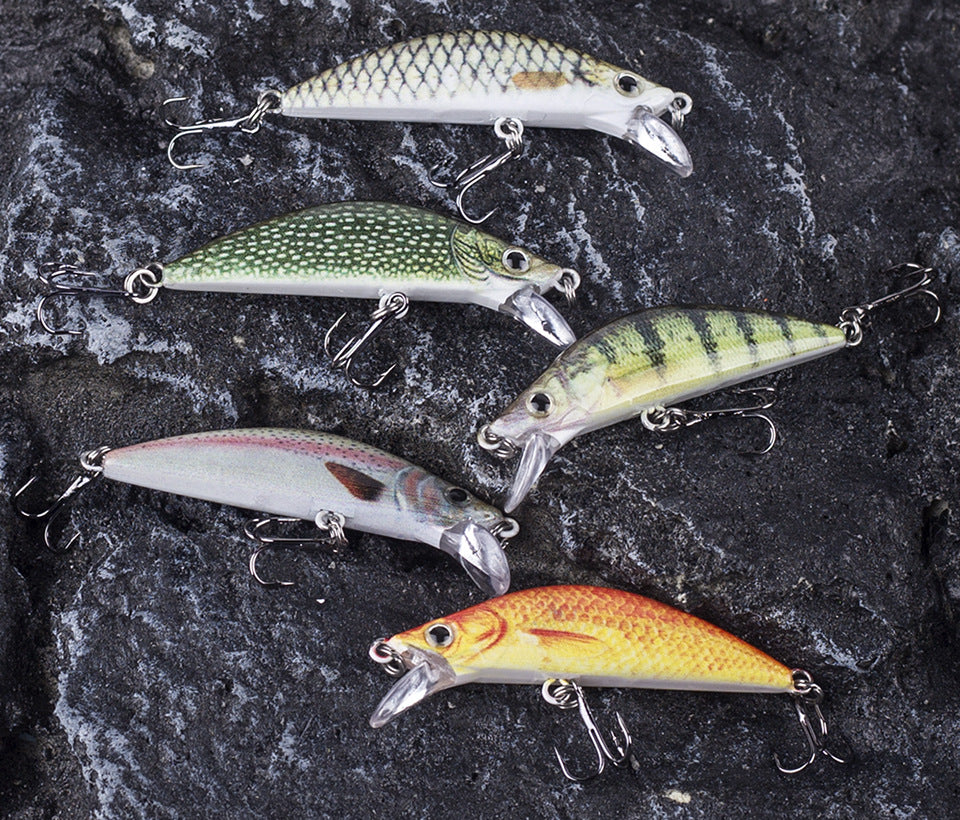 HERCULES Minnow Baits 5.5cm 5.5g Fishing Lure Box of 5PCS