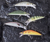HERCULES Minnow Baits 5.5cm 5.5g Fishing Lure Box of 5PCS