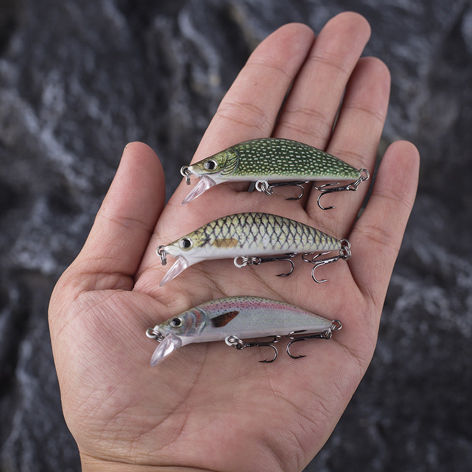 HERCULES Minnow Baits 5.5cm 5.5g Fishing Lure Box of 5PCS