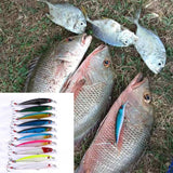 HERCULES Shallow Diving Minnow Lures Fishing Lures with Feather Tail, Pack of 10
