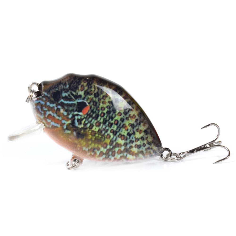 HERCULES 2.36" Crankbait Shallow Crank Lure Fishing Lures