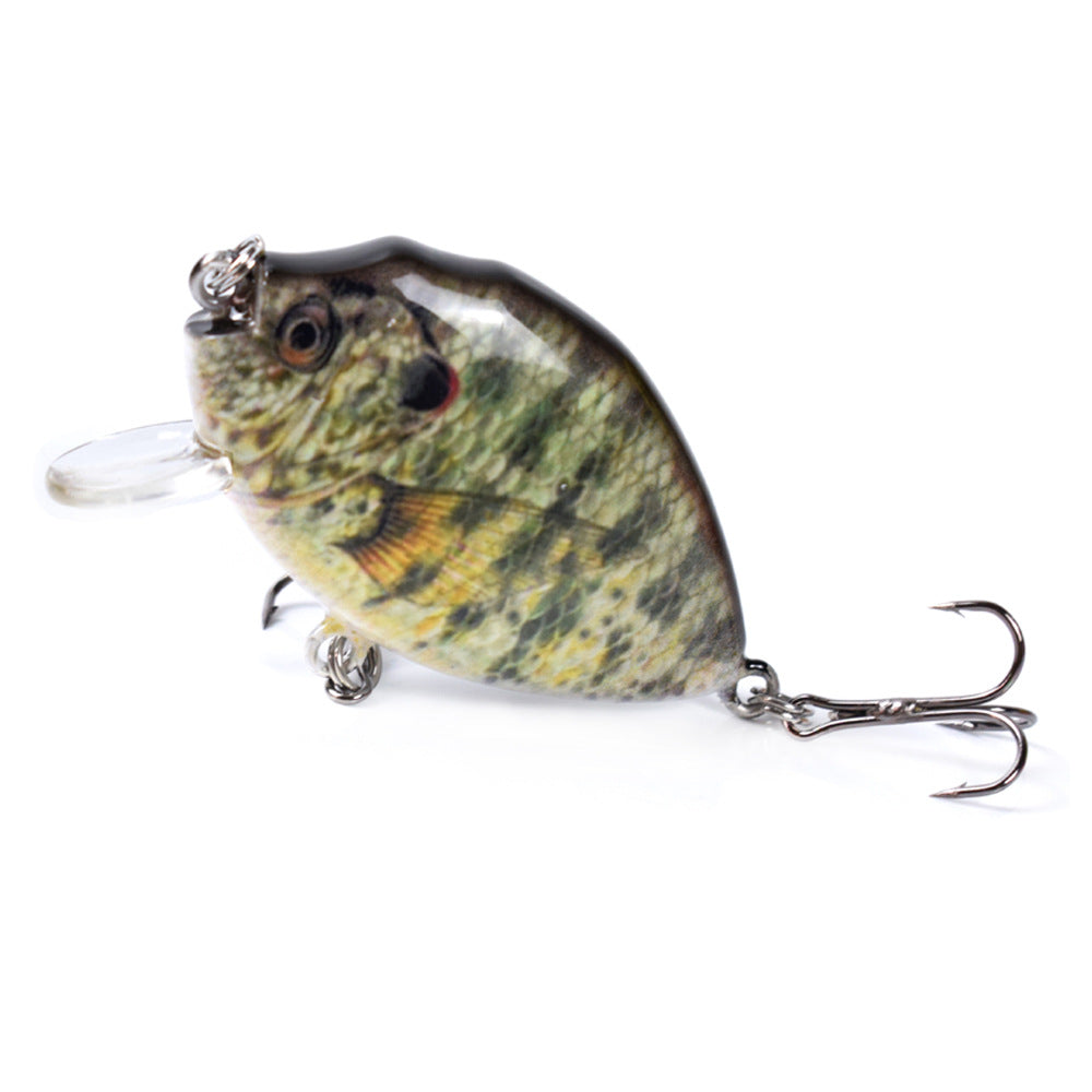 HERCULES 2.36" Crankbait Shallow Crank Lure Fishing Lures