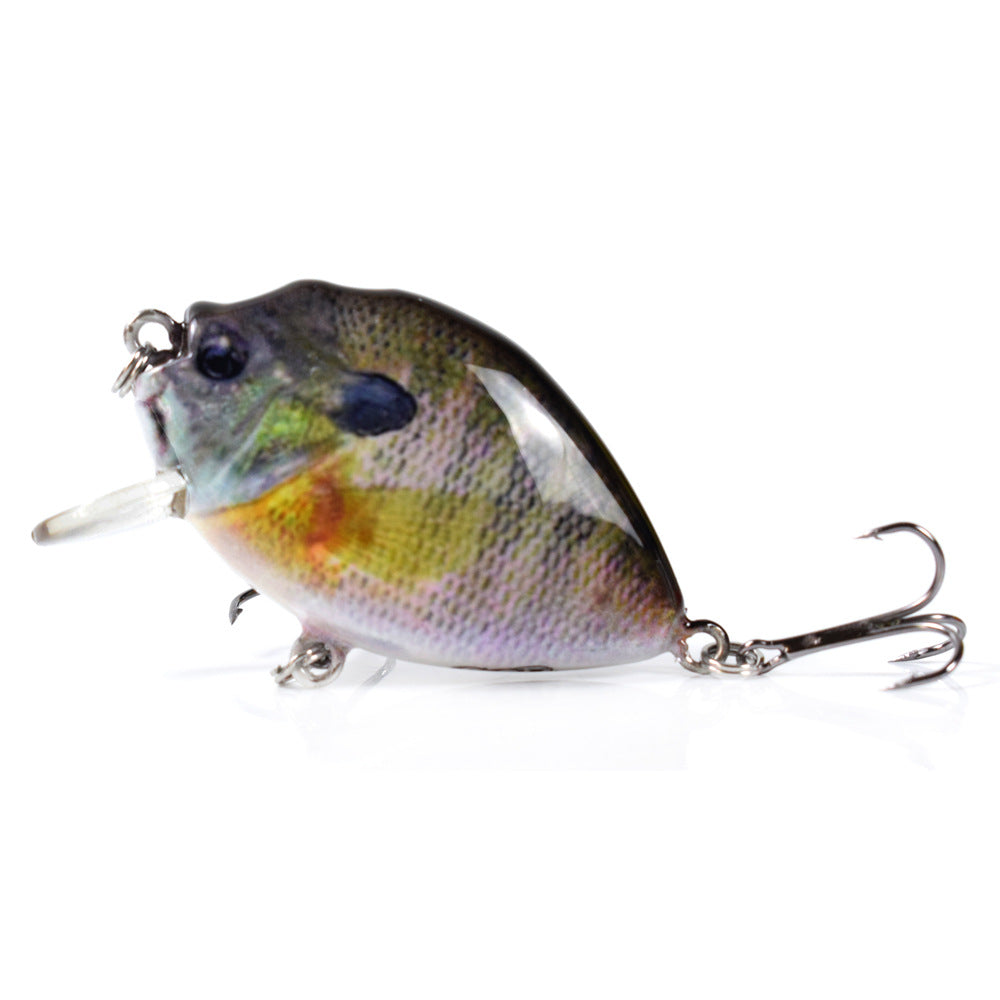 HERCULES 2.36" Crankbait Shallow Crank Lure Fishing Lures