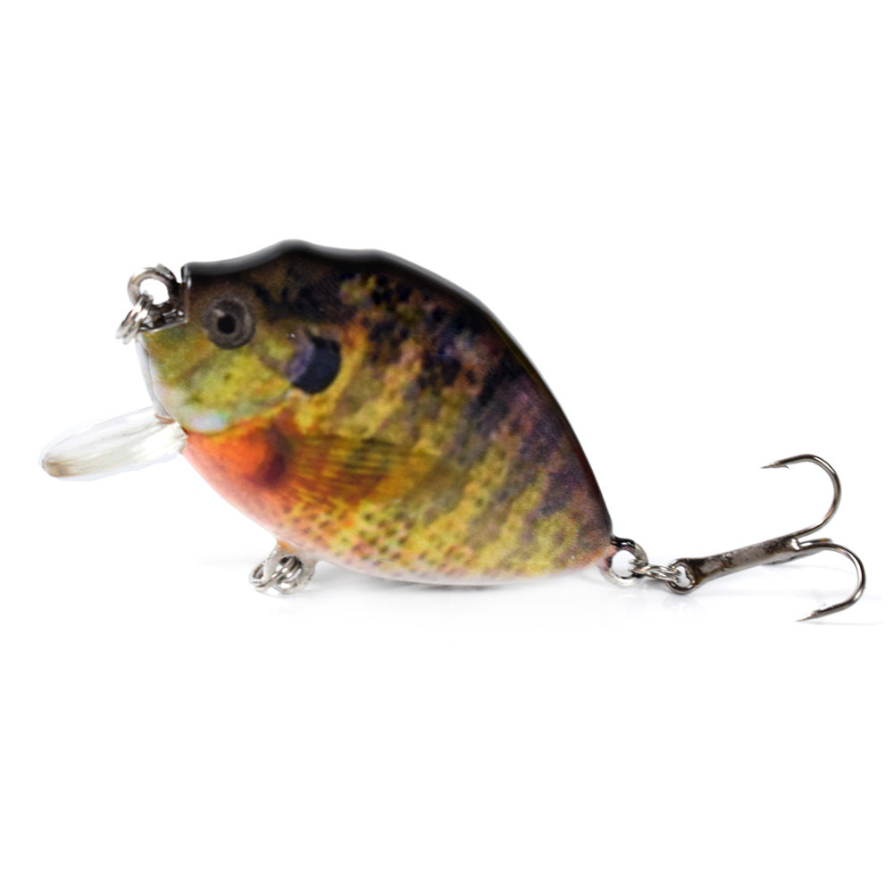 HERCULES 2.36" Crankbait Shallow Crank Lure Fishing Lures