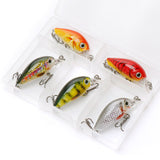 HERCULES Mini Crank Baits 4,5 cm 3,5 g 5 pezzi con scatola in PP