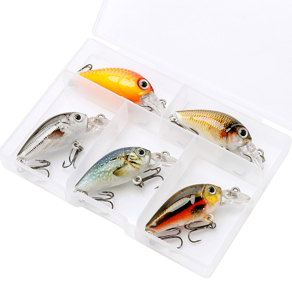 HERCULES Mini Crank Baits 4,5 cm 3,5 g 5 pezzi con scatola in PP
