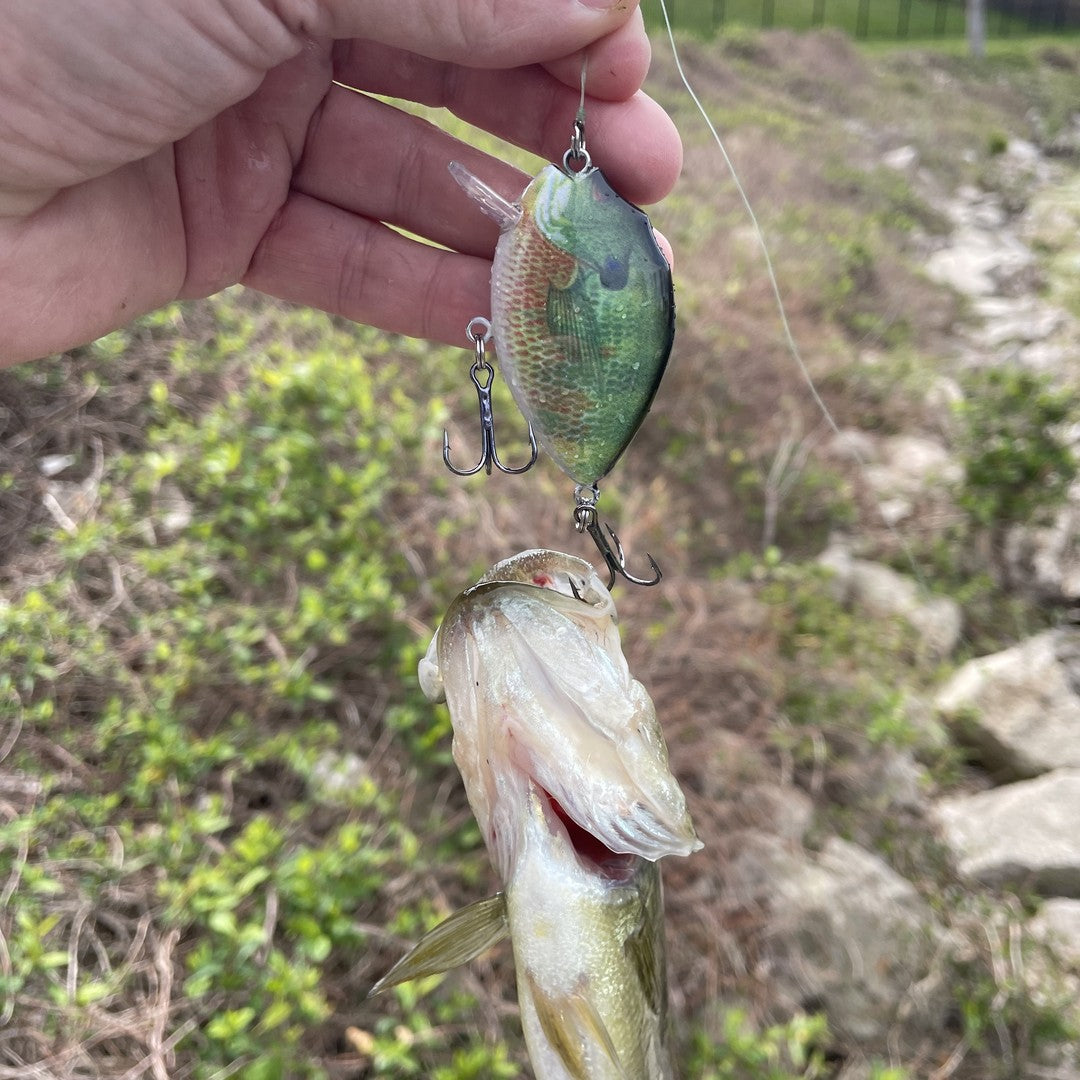 HERCULES 2.36" Crankbait Shallow Crank Lure Fishing Lures