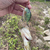 HERCULES 2.36" Crankbait Shallow Crank Lure Fishing Lures
