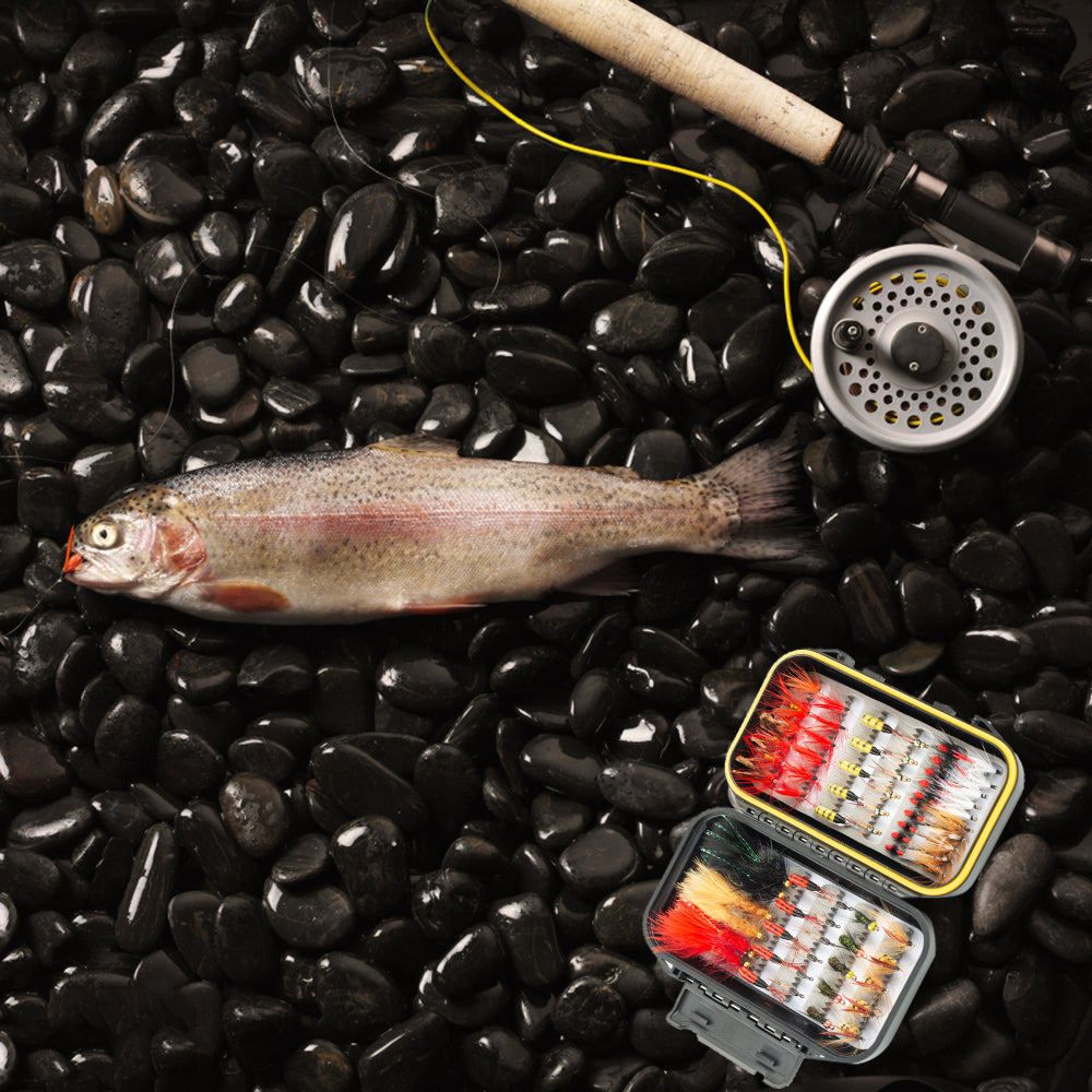 HERCULES Fly Fishing Flies Kit, Pack of 70 pcs, Dry Flies