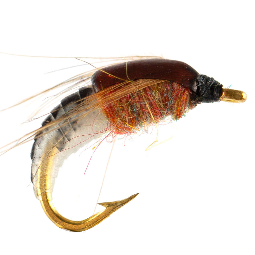 HERCULES Robuste e realistiche mosche Ninfa Scud, esche per la pesca a mosca, mosche sommerse