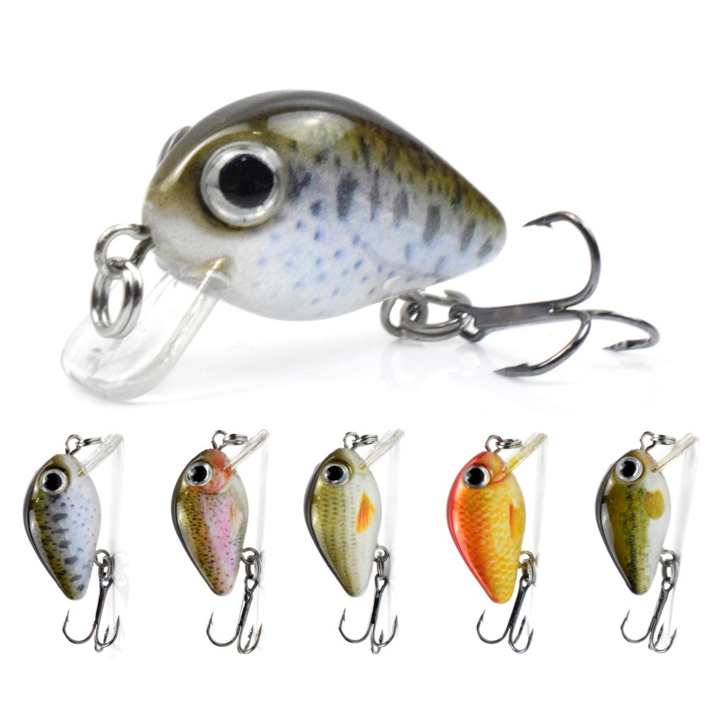 5PCS Micro Crankbait Fishing Lures For Bass Trout Topwater Lures Kit Slow  Sinking Durable Vib Set For Fishing Lovers Pocket Mini Lure Fishing Tackle